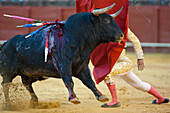 Seville, Spain, Aug 15 2008, César Girón kneels before a charging bull in the historic bullring of Sevilla, showcasing his skill and bravery during the fight.