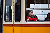 Tram line in Budapest