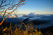 Sunrise view of the Sierra Nevada de Santa Marta, Mountains, including Cerro Kennedy, also known as 'la Cuchillo de San Lorenzo', Colombia