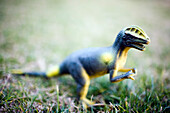 A vibrant dinosaur toy sits amidst green grass, showcasing its detailed features under the sunlight.