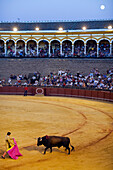 Seville, Spain, Aug 15 2008, A bullfighter skillfully engages a bull in the iconic Plaza de toros de la Real Maestranza during a vibrant evening event.