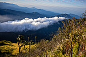 Sunrise view of the Sierra Nevada de Santa Marta, Mountains, including Cerro Kennedy, also known as 'la Cuchillo de San Lorenzo', Colombia