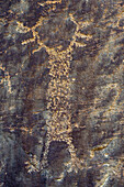 An anthropomorphic figure with a horned headdress on a pre-Hispanic Fremont Amerindian rock art panel in Nine Mile Canyon, Utah.