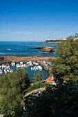 Fishing port of Biarritz, France