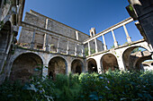 Exploring the overgrown courtyard of the Renaissance cloister in the abandoned convent located in Garrovillas de Alconétar, Extremadura.