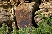 Anthropomorphe Figuren und Dickhornschafe auf einer prähispanischen Fremont-Felskunsttafel der Indianer im Nine Mile Canyon, Utah