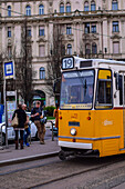 Straßenbahnlinie in Budapest