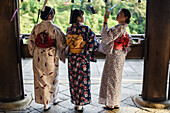 Three young women dressed in traditional Japanese clothes, Kiyomizu-dera temple in Kyoto, Japan