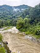 Los Sosa River in the yungas sub-tropical rainforest on a rainy day in Los Sosa Canyon Natural Reserve in Argentina.