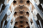 Barcelona, Spain, Sept 4 2008, Explore the stunning interior of the Sagrada Familia, showcasing Gaudís unique architectural vision in Barcelona.