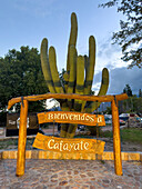 A carved wooden welcome sign in a Plaza Gral. Martin Guemes in Cafayate, Argentina.