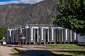 Stainless steel fermentation vats at the Bodega Etchart winery in Cafayate, Argentina.