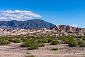 Die erodierte Landschaft des Calchaqui-Tals in der Provinz Salta, Argentinien