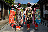 Group of women dressed as Maikos in the streets of Kyoto, Japan