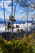 Sunrise view of the Sierra Nevada de Santa Marta, Mountains, including Cerro Kennedy, also known as 'la Cuchillo de San Lorenzo', Colombia