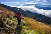 Young man hiking in the mountains of Sierra Nevada de Santa Marta, Colombia