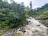 Los Sosa River in the yungas sub-tropical rainforest on a rainy day in Los Sosa Canyon Natural Reserve in Argentina.