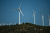 Wind turbines in Spain