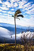 Sonnenaufgangsansicht der Sierra Nevada de Santa Marta, Gebirge, einschließlich Cerro Kennedy, auch bekannt als "la Cuchillo de San Lorenzo", Kolumbien