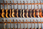 Numerous guitars hang on display in a vibrant music store located in Seville, showcasing a range of styles and sizes for music lovers.