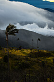 Sunrise view of the Sierra Nevada de Santa Marta, Mountains, including Cerro Kennedy, also known as 'la Cuchillo de San Lorenzo', Colombia