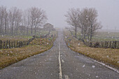 Snowing over a secondary road in the province of Segovia.