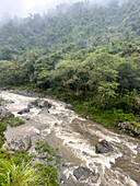 Los Sosa River in the yungas sub-tropical rainforest on a rainy day in Los Sosa Canyon Natural Reserve in Argentina.