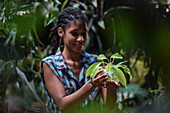 Young afro latin woman gardening and holding an hydroponic plant