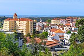 Luso, Mealhada, Aveiro district, Centro, Portugal, Europe