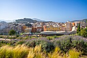 Molinete Archaeological Park, Cartagena, Murcia, Spain, Europe