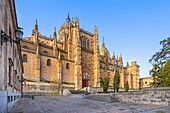 New Cathedral of Salamanca (Catedral de la Asuncion de la Virgen), UNESCO World Heritage Site, Salamanca, Castile and Leon, Spain, Europe