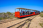 Tourists on mini-train, Beach of Barril, Tavira, Algarve, Portugal, Europe