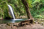 Schioppo waterfall, Carpinone, Isernia, Molise, Italy, Europe