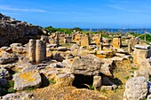 The NecropolIs, Motya island, Marsala, Trapani, Sicily, Italy, Mediterranean, Europe