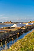 Salt pans Ettore and Infersa, Marsala, Trapani, Sicily, Italy, Mediterranean, Europe