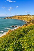 Cape Milazzo, Milazzo, Messina, Sicily, Italy, Mediterranean, Europe