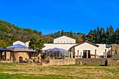 Villa del Casale, UNESCO World Heritage Site, Piazza Armerina, Enna, Sicily, Italy, Mediterranean, Europe