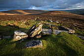 Birch Tor im Abendsonnenlicht, Dartmoor National Park, Devon, England, Vereinigtes Königreich, Europa