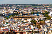 Panoramic views of Seville and the 18th century Bullring in Plaza de Toros de la Maestranza, from the Cathedral, Seville, Andalusia, Spain, Europe