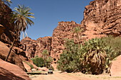 Wadi Disah (Wadi Qaraqir), sandstone canyon near Tabuk, North West Saudi Arabia, Middle East