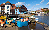 Lymington harbour, New Forest, Hampshire, England, United Kingdom, Europe