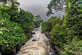 River rapids at the Miabi water reservoir, Mbuji Mayi, Eastern Kasai, Democratic Republic of Congo, Africa