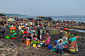 River Market, Mbandaka, Equateur province, Democratic Republic of Congo, Africa