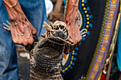 Lebende Krokodile zu verkaufen auf dem Markt von Mbandaka, Provinz Äquateur, Demokratische Republik Kongo, Afrika