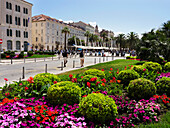 Blumen entlang der Riva, Split, Kroatien, Europa