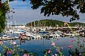 Blick auf die kleine Hafenstadt Friday Harbor auf San Juan Island, Washington State, Vereinigte Staaten von Amerika, Nordamerika