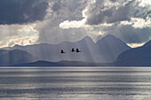 Panoramaansicht des Glacier Bay National Park and Preserve, UNESCO-Weltnaturerbe, Südost-Alaska, Pazifischer Ozean, Vereinigte Staaten von Amerika, Nordamerika