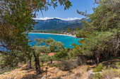 View of olive trees and Golden Beach at Chrysi Ammoudia, Thassos, Aegean Sea, Greek Islands, Greece, Europe