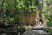 Walking in Tayrona National Natural Park, Department of Magdalena, Caribbean Region, Colombia, South America