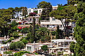 Traditional low-rise hill houses surrounded by greenery in the capital town of Capri Island, Bay of Naples, Campania, Italy, Europe